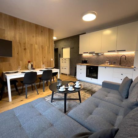 Urban Apartments Premium No 3, Free Private Parking, Self Check-In Chorzów Εξωτερικό φωτογραφία